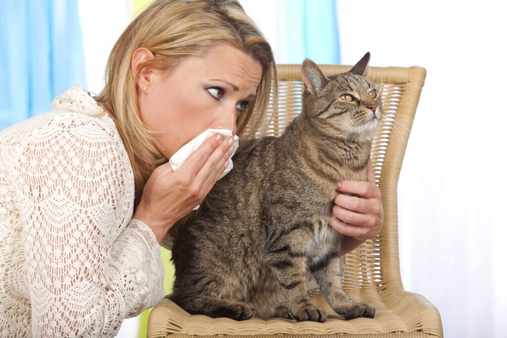 iStock